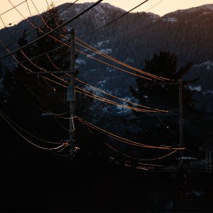 20100101 SUN on utility lines.jpg