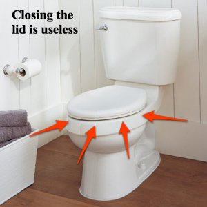 American_Toilet_b.jpg