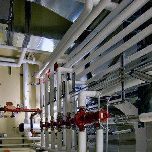 4268234654_2ce1c3de24_b copy.jpg