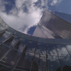 IMG_0113_0.jpg