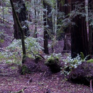 Screen shot 2010-01-21 at 02.37.56.jpg