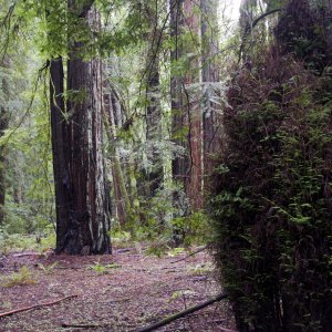 Screen shot 2010-01-21 at 05.05.12.jpg