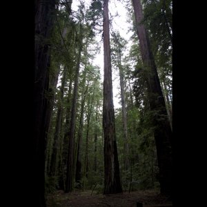 Screen shot 2010-01-21 at 05.05.21.jpg