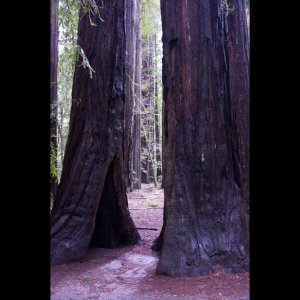 Screen shot 2010-01-21 at 05.05.25.jpg