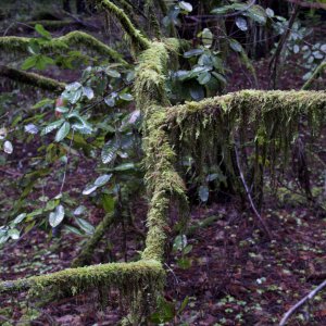 Screen shot 2010-01-21 at 05.05.47.jpg