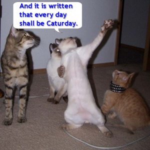 thegreatprophecyofcaturub5.jpg