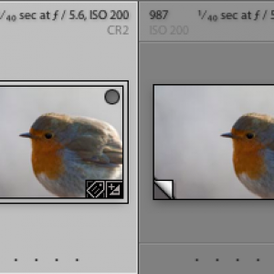 Screen shot 2010-01-26 at 21.40.49.png
