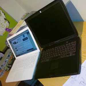 29012010028.jpg