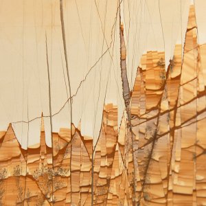 DSC_4870 cropped.jpg