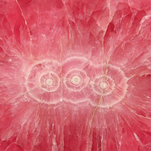 DSC_4969 cropped.jpg