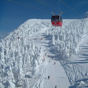 zao_ski_01.jpg