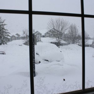 IMG_1168.JPG