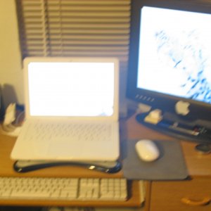 STC_1764.JPG
