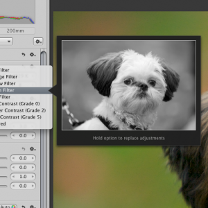 Screen shot 2010-02-09 at 9.11.12 PM.png