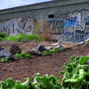 Tenerife Occupied1.jpg