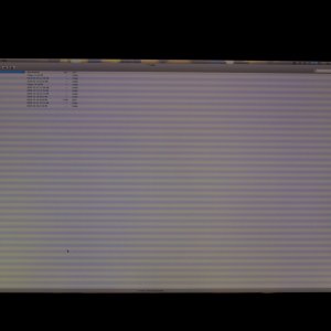 IMG_4319 - compressed.jpg