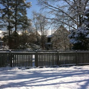 a25Snow 2.13.2010 012.jpg