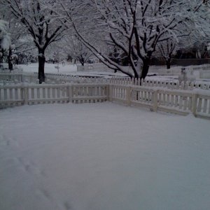 photo1.jpg