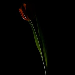 _DSC9484 - Arbeitskopie 2.jpg