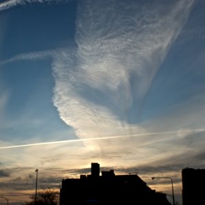 IMGP4604 - Version 2.jpg