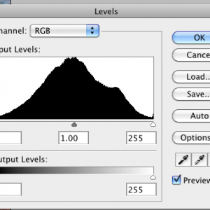Screen shot 2010-02-26 at 5.21.29 PM.png