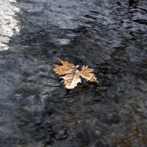 DSC00730 - Version 3.jpg