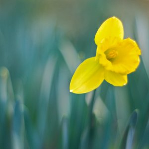 _DSC6080 (1 of 1).jpg