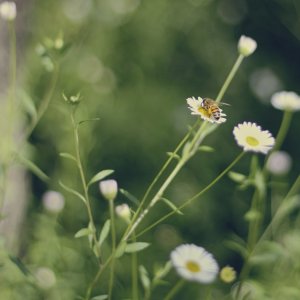 IMG_8125 - Version 3.jpg