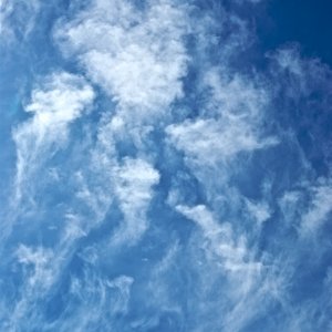 IMGP4793 - Version 4.jpg