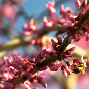 Riverwalk Park-05.jpg