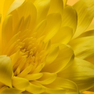 _MG_0079web 17-28-53.jpg