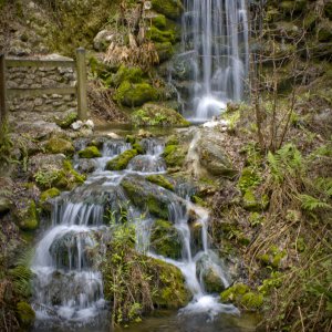 IMG_6773_RS FAll.jpg