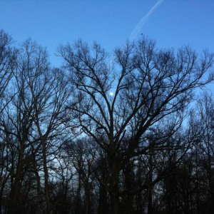 IMG_0830.jpg