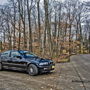 IMG_2759 copylow.jpg