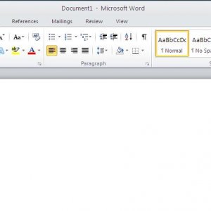 word2010.JPG