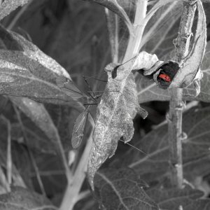 IMG_9513 - Version 2.jpg