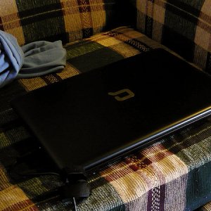 P1020334.jpg