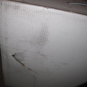 IMG_1068_01.JPG