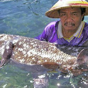 070522-coelacanth_big.jpg