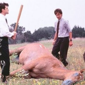 beating_a_dead_horse.jpg