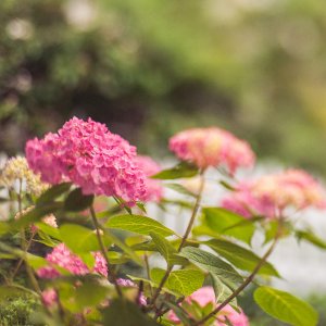 FB_June_09_2018_001.jpg