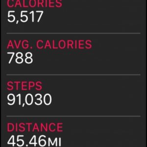 steps.jpg