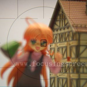 focus screen 2.jpg