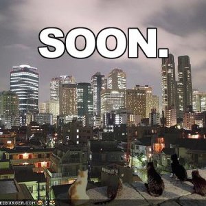 funny-pictures-soon-cats-city-skyline.jpg