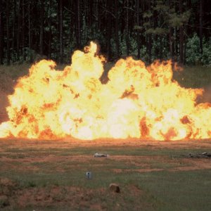 DSC_0029.JPG (1).jpg