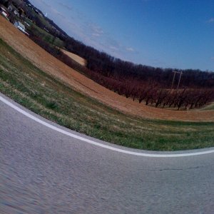 photo(2).jpg