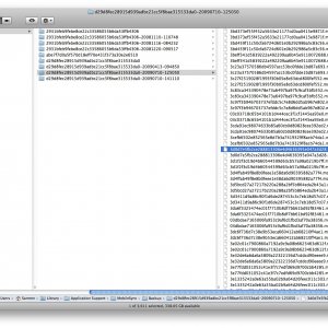 Screen shot 2010-05-27 at 2.39.15 PM.JPG