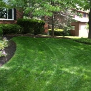 front yard.jpg