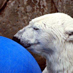 DSC_0110 (Large).jpg