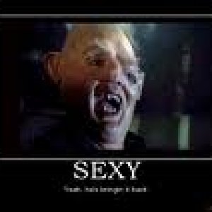 images.jpeg